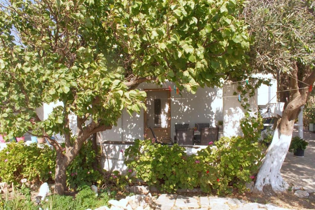 Isterni  Anastasia'S House Ysterni מראה חיצוני תמונה