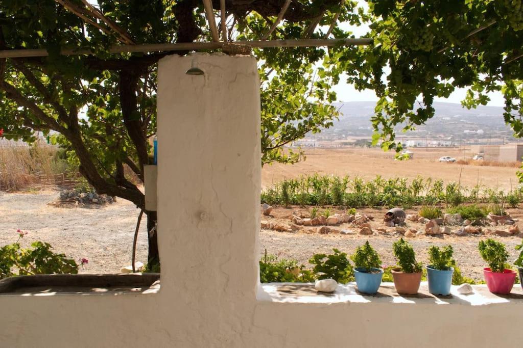 Isterni  Anastasia'S House Ysterni מראה חיצוני תמונה