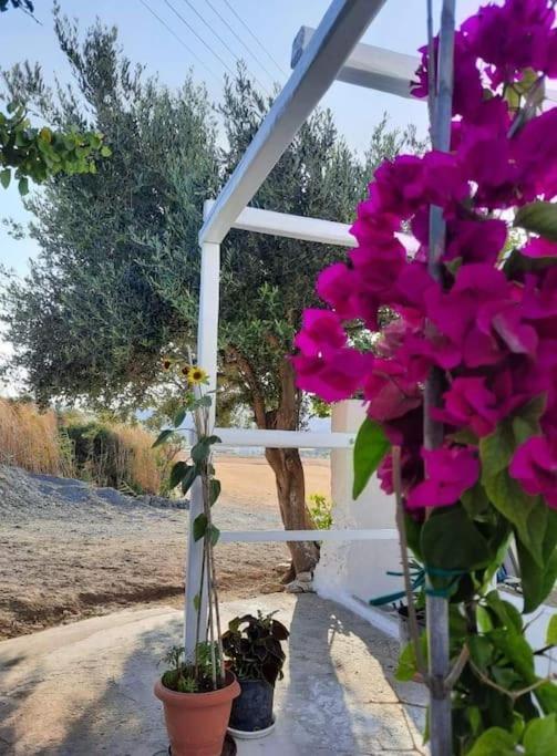 Isterni  Anastasia'S House Ysterni מראה חיצוני תמונה